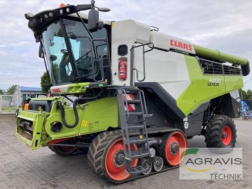 Claas Lexion 6800 Terra Trac Byggeår 2019 Olfen