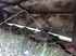 Lely SPLENDIMO 900 M Изображение 4