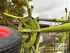 Claas VOLTO 550 HR Bild 11