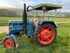 Oldtimer Tractor Lanz Bulldog D2016 Image 1