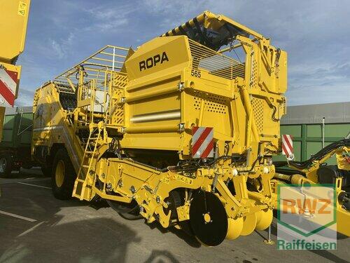 Ropa Keiler 2 Classic Year of Build 2022 Mutterstadt