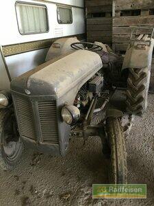 Oldtimer Tractor Massey Ferguson - TED
