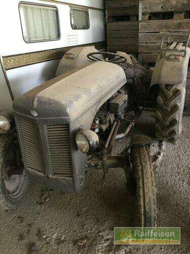 Oldtimer - Traktor Massey Ferguson - TED