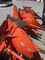 Plough Kuhn Vari-Master 123 Image 2