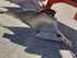 Plough Kuhn Vari-Master 123 Image 10