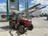 Oldtimer Tractor Steyr 190 Image 3