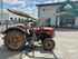 Oldtimer Tractor Steyr 190 Image 8