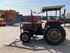 Oldtimer Tractor Massey Ferguson 135 Image 9