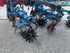 Sonstige/Other Rollsternhacke Bild 9