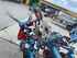 Sonstige/Other Rollsternhacke Bild 10