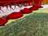 Mower Pöttinger NOVACAT352 Image 9