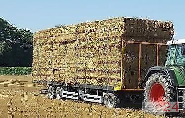 Wielton PRS 24