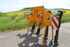 Agrisem Combiplow Platinum SR 3m Tiefenlockerer Imagine 7