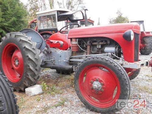 Oldtimer - Traktor Massey Ferguson - TED