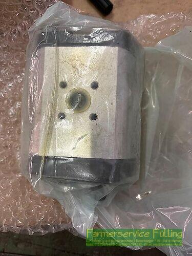 Bosch/Rexroth Zahnradpumpe, 01176453