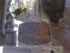 Perkins Einspritzpumpe (Delphi) für Bobcat Telelader, überholt Billede 1