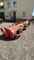 Ground Care Device Maschio Gemella 620, BJ 2014, 6,20m AB, hydr. Klappung, Zustand s. F Image 3
