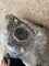 Fendt BorgWarner Turbolader 56207100000, passend für 930er Obrázek 1