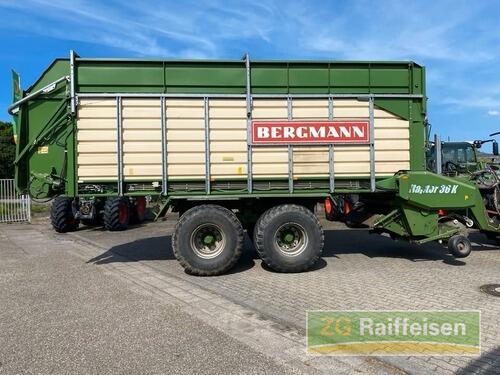 Bergmann Raptor36k Année de construction 2008 Bühl