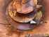 Mayer Siloking MK 9 Bild 8