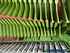 Krone ZX 430 GD Demo immagine 9