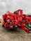 Grimme SE 260 UB Foto 11