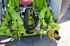 Claas DISCO 9200 C AS Изображение 4