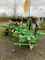 Plough Amazone Cayros XS 1050 SB V RH82 Image 1