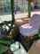 Tractor Fendt 309 LSA Image 10