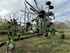 Fendt Former 1603 Slika 3