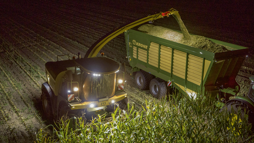 Krone Big X 630 *Sonderpreis* Bouwjaar 2023 Emsbüren