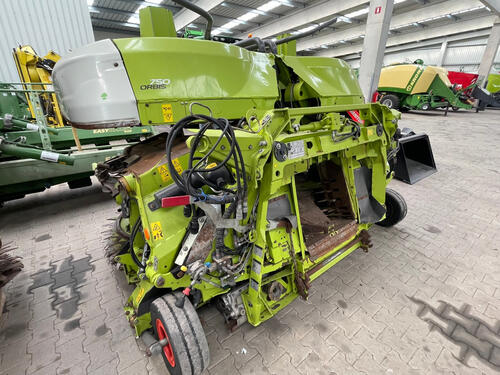 Claas Orbis 750 I63 Год выпуска 2019 Emsbüren