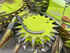 Forage Harvester - Self Propelled Claas Jaguar 950 4x4 *Aktionspreis* Image 2