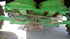 Mähdrescher John Deere 9880i STS Bild 29