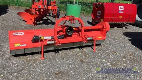 Maschio Brava 250 Mech Rok produkcji 2022 Berne-Neuenkoop