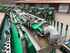 Tanker Liquid Manure - Trailed Samson SG II 20 Image 8