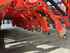 Seeder Kuhn Integra 3000 + HRB 302 Image 7