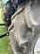 Tracteur Deutz-Fahr Agrotron 6155 Image 20