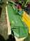 Mower Krone EasyCut 32 P Image 2