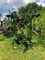 Krone KW 8.82/8 Bild 1