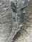Claas TORION 1812 Obraz 9