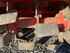 Tillage Maschio G 300 Image 9