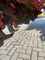 Tillage Maschio G 300 Image 10