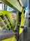 Claas Arion 510 Beeld 4