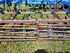 Lemken Gigant Smaragd 800 Bild 10