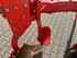 Maschio UNICO M PASSO 4+1 Beeld 16