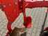 Maschio UNICO M PASSO 4+1 Beeld 7