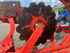 Maschio UNICO M PASSO 4+1 Изображение 8