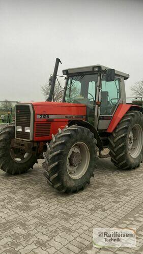 Massey Ferguson Mf 3125 Lohe-Rickelshof