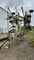 Hay Equipment Claas Liner 780L Image 1